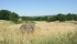 DSCF4852 (FILEminimizer).JPG